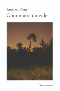 Grammaire du vide, Aurélien Dony