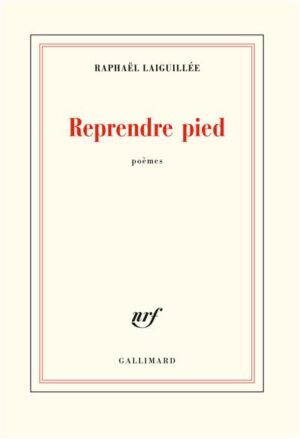 Reprendre pied, Raphaël Laiguillée